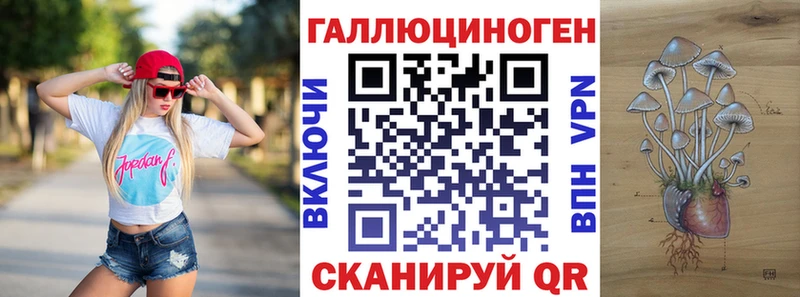 блэк спрут ТОР  Сольвычегодск  Галлюциногенные грибы GOLDEN TEACHER 